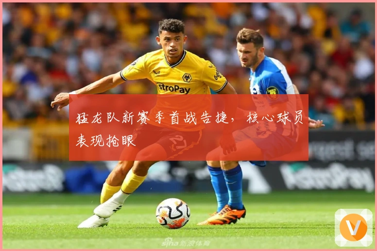 猛龙队新赛季首战告捷，核心球员表现抢眼