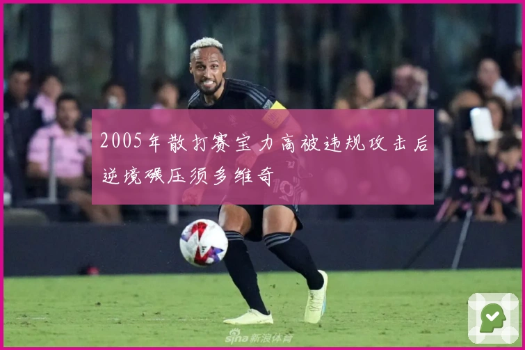 2005年散打赛宝力高被违规攻击后逆境碾压须多维奇