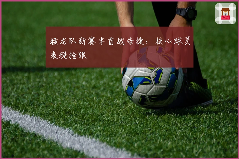 猛龙队新赛季首战告捷，核心球员表现抢眼