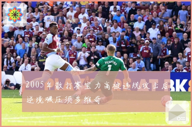 2005年散打赛宝力高被违规攻击后逆境碾压须多维奇